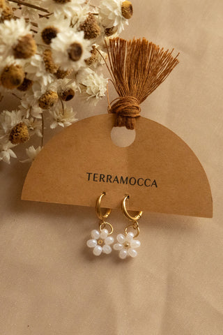 Bijou Terramocca